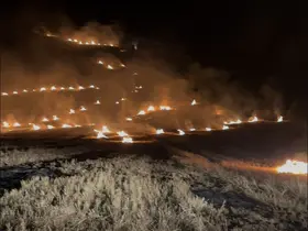 Samsun’da anız yangını ormanlık alana sıçramadan söndürüldü
