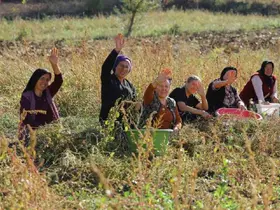 Samsun’da bitkisel ve hayvansal üretim destekleniyor

