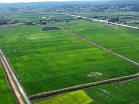 Samsun’da bozulan tarım arazileri cezasız kalmadı: 48 işlem uygulandı
