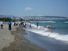 Samsun’da Deniz Küreği Türkiye Şampiyonası başladı
