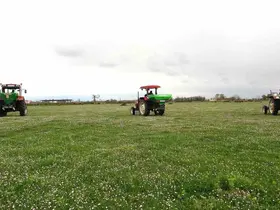Samsun’da meralarda ıslah çalışmaları sürüyor
