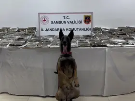 Samsun’da tıra gizlenmiş 132 kilo toz esrar ele geçirildi

