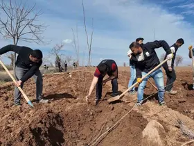 Şanlıurfa Büyükşehir Belediyesi’nden 20 bin çınarlık yeşil hamle
