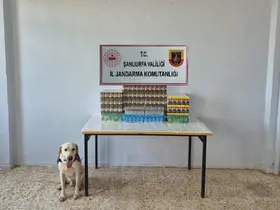 Şanlıurfa’da 7 bin 777 paket gümrük kaçağı sigara ele geçirildi
