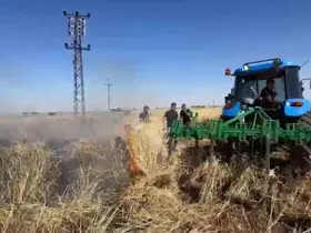 Şanlıurfa’da onlarca dönümlük arpa ekili tarla kül oldu
