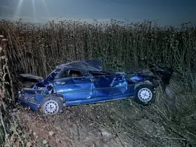 Şanlıurfa’da otomobil şarampole devrildi: 4 yaralı
