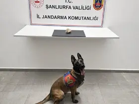 Şanlıurfa’da uyuşturucu operasyonu: 1 tutuklama
