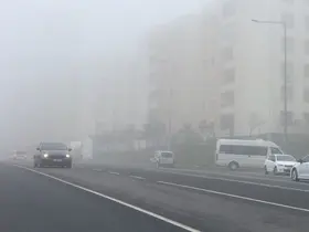 Şanlıurfa’da yoğun sis etkili oldu
