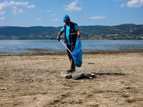 Sapanca Gölü çevresinden 2 ton çöp toplandı
