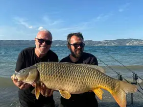 Sapanca Gölü’nde 18 kiloluk dev sazan: O anlar kamerada
