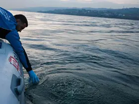 Sapanca Gölü’ndeki kabarcıkların sebebi belli oldu: Yeraltından doğal hava çıkışı
