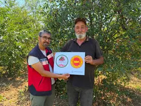 Şaphane Vişnesi için tescil çalışmaları sürüyor
