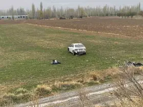Şarampole giren otomobil sürücüsü yaralandı
