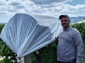 Sarıgöl Ovası beyaza büründü
