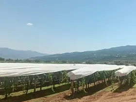 Sarıgöl Ovası beyaza bürünmeye başladı
