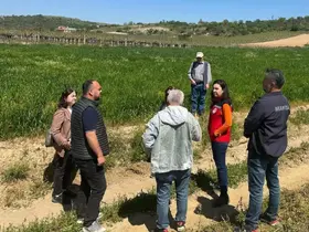 Sarıgöl’de incir hamlesi
