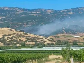 Sarıgöl’de orman yangını
