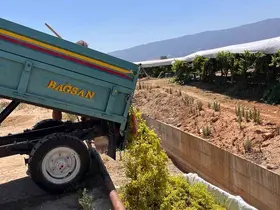 Sarıgöl’de şaraplık üzüm alımları başladı
