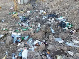 Sarıgöllü çiftçilerden zeytinliğe atılan alkol şişelerine tepki
