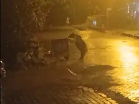 Sarıkamış’ta ayılar kış uykusunu unuttu

