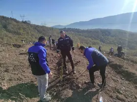 SEDAŞ, 4 ilde 500 fidanı toprakla buluşturdu
