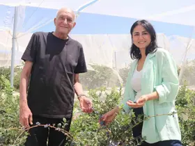 Şehir hayatından yorulan çift, topraksız tarım üreticisi oldu
