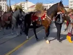 Şehir merkezinde gezdirilen atlar vatandaşları meraklandırdı
