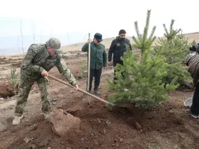 Şehit arkadaşlarının hatırasına 2 bin 400 rakımlı tepeye ağaç diktiler
