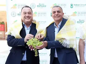 Şehzadeler’de 4 gün sürecek bağ bozumu coşkusu başlıyor
