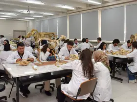 Selçuk Üniversitesi 2025'te önemli atılımlar gerçekleştirdi