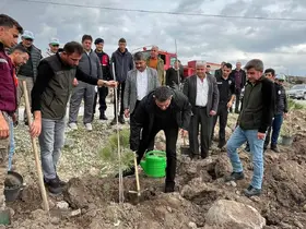 Selendi’de 800 fidan toprakla buluşturuldu
