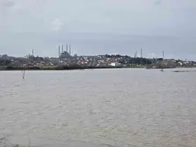 Selimiye Camii, göle dönen tarlalardan İstanbul’daki Sultanahmet’i andırdı
