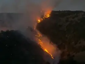 Şemdinli’de ormanlık alanda korkutan yangın
