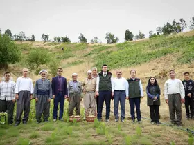Şemdinli’de üzüm hasadı başladı
