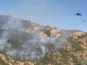 Şemdinli’deki orman yangınına hava destekli müdahale
