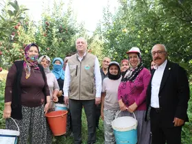 Şemsi Bayraktar’dan Çivril’de elma hasadı yaptı
