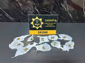 Serdivan’da uyuşturucu operasyonu: 1 kişi tutuklandı
