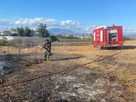 Serik’te ahırda çıkan yangında 1 koyun telef oldu
