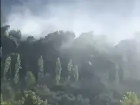 Seydikemer’de orman yangını
