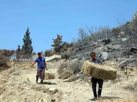 Seydikemer’de yaralar hızla sarılıyor
