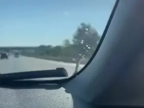 Seyir halindeki aracın kaputunda yılan paniği
