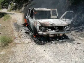 Seyir halindeki araçta çıkan yangın, ormanlık alana sıçradı
