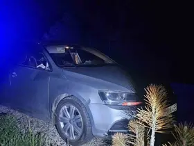 Seyir halindeki otomobile geyik çarptı: 2 yaralı
