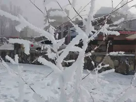 Sibirya soğukları hayatı olumsuz etkiliyor
