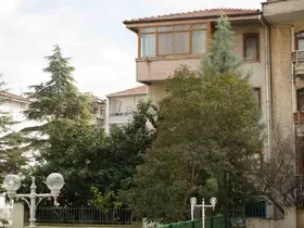 Şiddetli rüzgar hayatı olumsuz etkiledi, bazı ağaçlar devrildi
