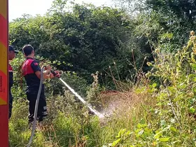Sigara izmariti otluk alanda yangına sebep oldu

