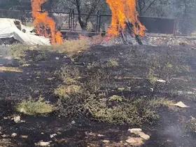 Siirt bir evin bahçesinde çıkan yangın söndürüldü
