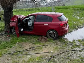 Siirt’te ağaca çarpan otomobilin sürücüsü yaralandı
