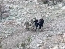 Siirt’te araç şarampole yuvarlandı: 1’i ağır 4 yaralı
