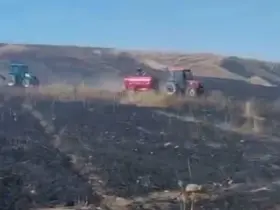 Siirt’te biçerdöverden çıkan yangında 50 dönümlük ekili alan yandı
